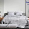 Bộ chăn ga gối cao cấp Eco Vera EV05