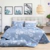 Bộ chăn ga gối cao cấp Eco Vera EV06 Ecopillo