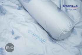 Bộ chăn ga gối cao cấp Eco Vera EV02