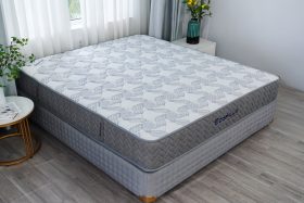 Đệm lò xo túi độc lập Ecopillo