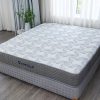 Đệm lò xo túi độc lập Ecopillo