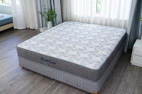 Đệm lò xo túi độc lập Ecopillo