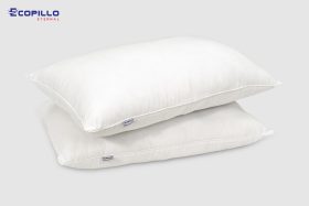 Ruột gối đầu Ecopillo