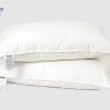 Ruột gối lông vũ tự nhiên Ecopillo