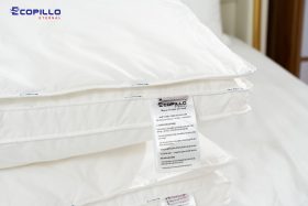 Ruột gối tơ tằm Ecopillo