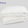 Ruột gối tơ tằm Ecopillo