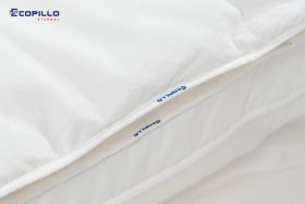 Ruột gối tơ tằm Ecopillo