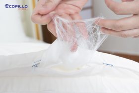 Ruột gối tơ tằm Ecopillo